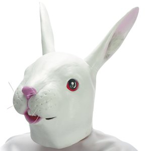Kaninchen - Hase