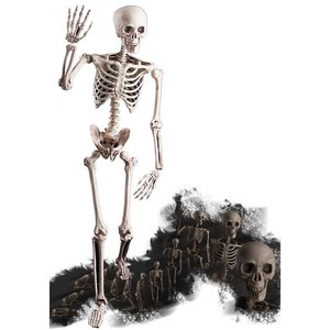 Halloween - Lebensgrosses Skelett 
