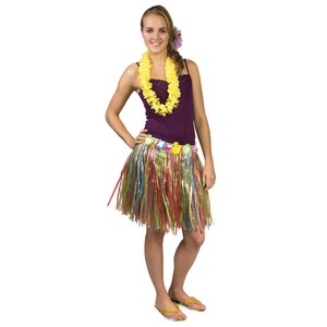 Hawaï hula - l'arcobaleno 