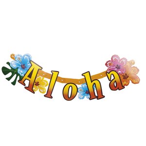 Hawaii Aloha Banner 