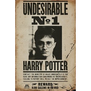 Harry Potter: Undesirable No. 1 - Fahndungsplakat 