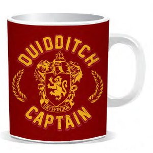 Harry Potter: Quidditch Captain
