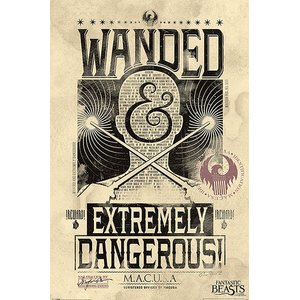 Fantastic Beasts: Wanded & Extremely Dangerous