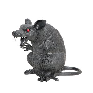 Ratte - Maus