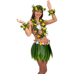 Tropenschönheit Hawaiiana