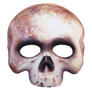 Crâne - Squelette sans menton