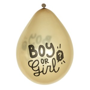 Boy or Girl? (6 Pezzi)