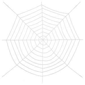 Spinnennetz: Dia