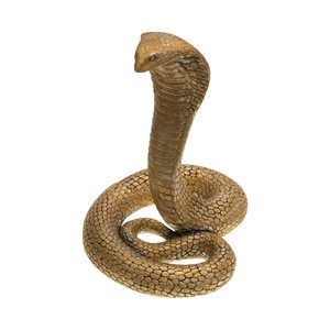 Serpente dorato