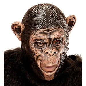 Affe - Schimpanse