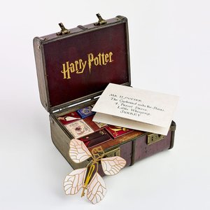 Harry Potter: Adventskalender Hogwarts-Schatzkoffer